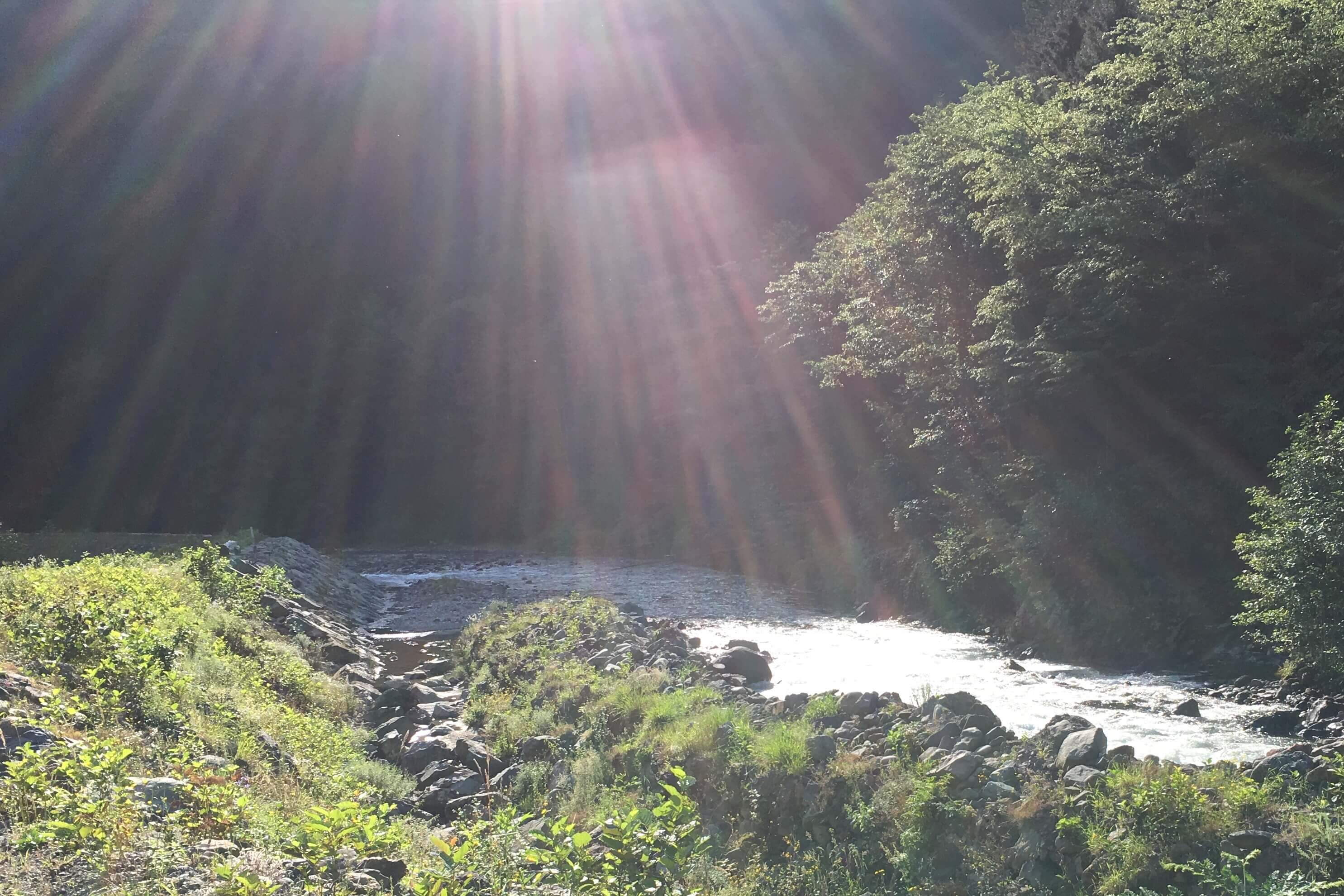 a mountain stream with sunbeams